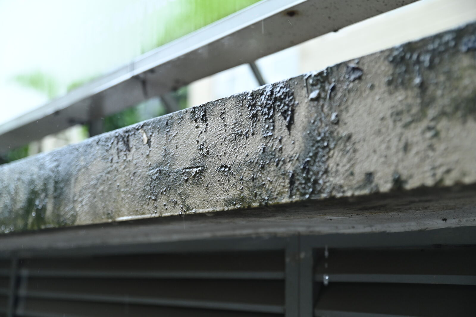 Nikon D780 sample photo