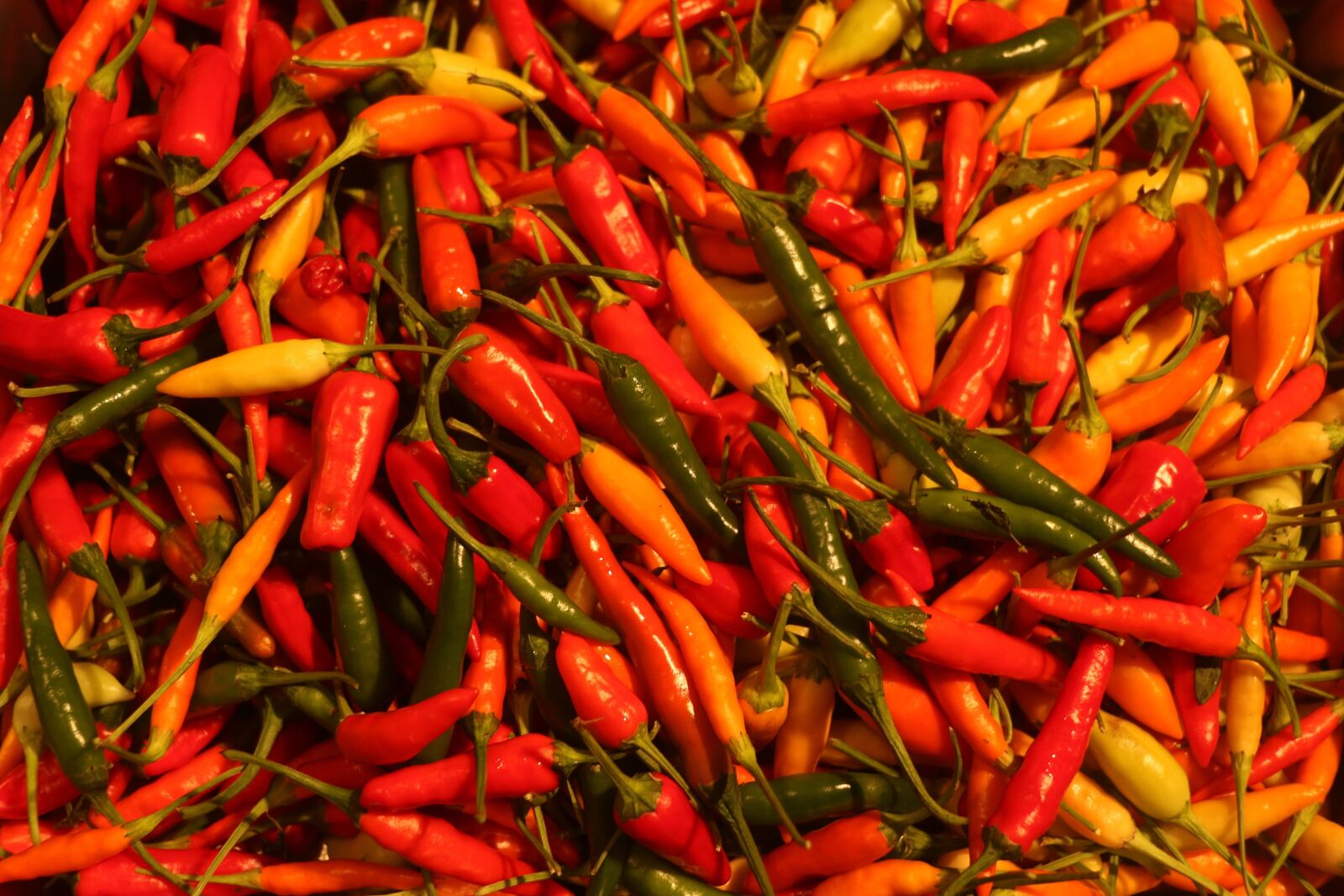Canon EOS 7D Mark II sample photo. Chili, spicy, ingredient photography