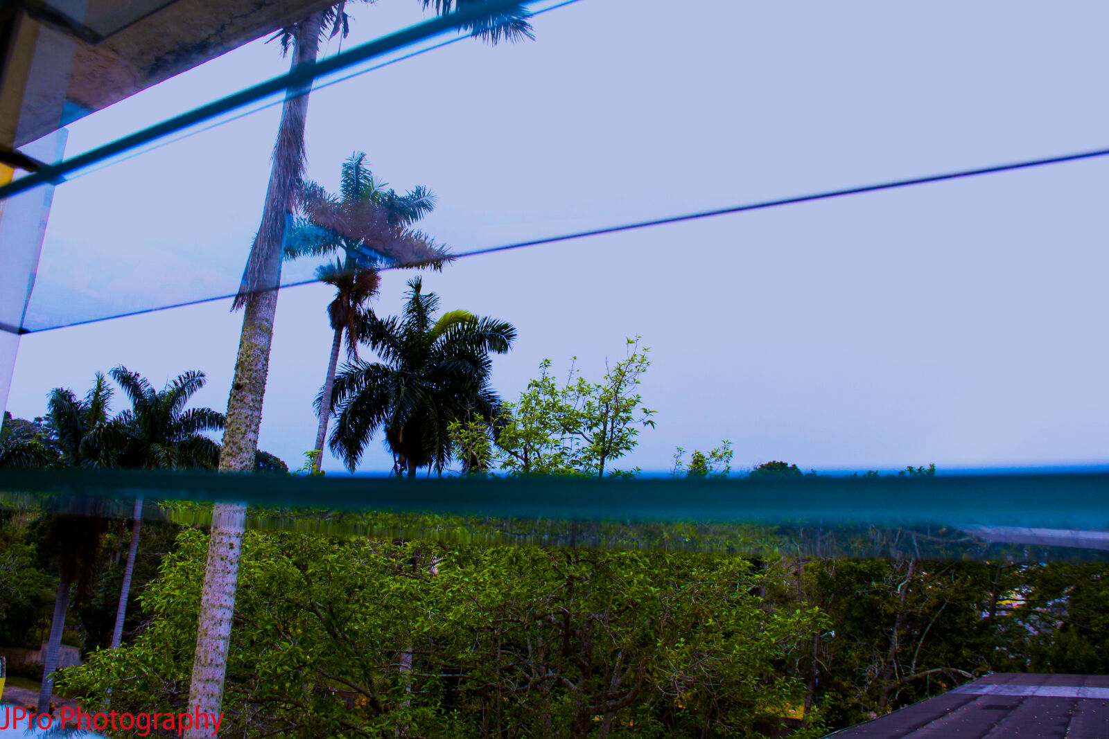 Canon EF-S 18-135mm F3.5-5.6 IS sample photo. Mandeville, jamaica photography