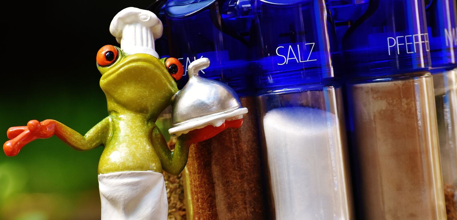 Nikon D7200 sample photo. Frog, cooking, spices photography