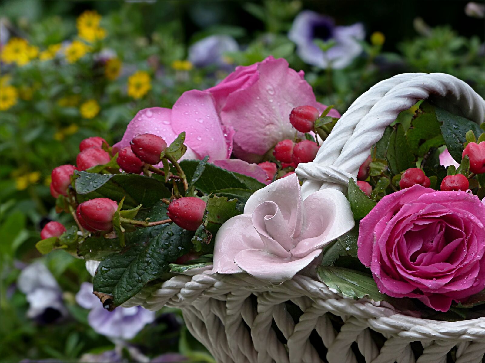 Panasonic Lumix DMC-FZ200 sample photo. Flower, rose, pink photography