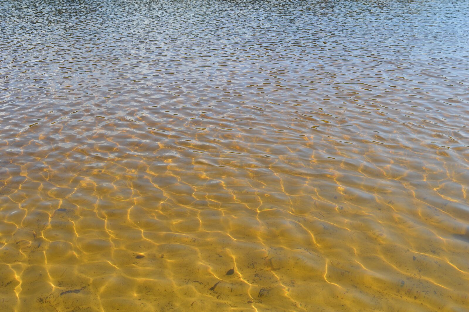 Nikon D3200 sample photo. Water, wave, the sun photography