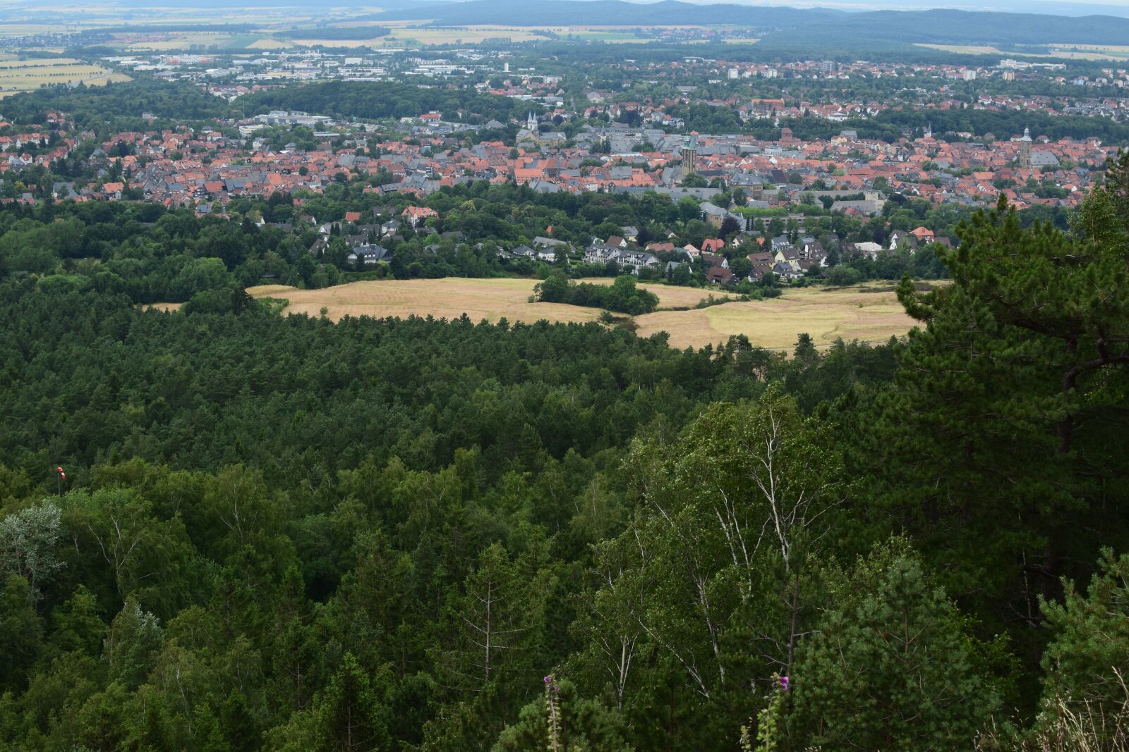 Nikon D5300 sample photo. Landscape, forest, city photography