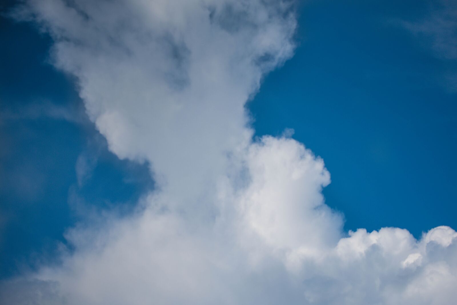 Nikon D750 sample photo. Sky, ppt backgrounds, white photography