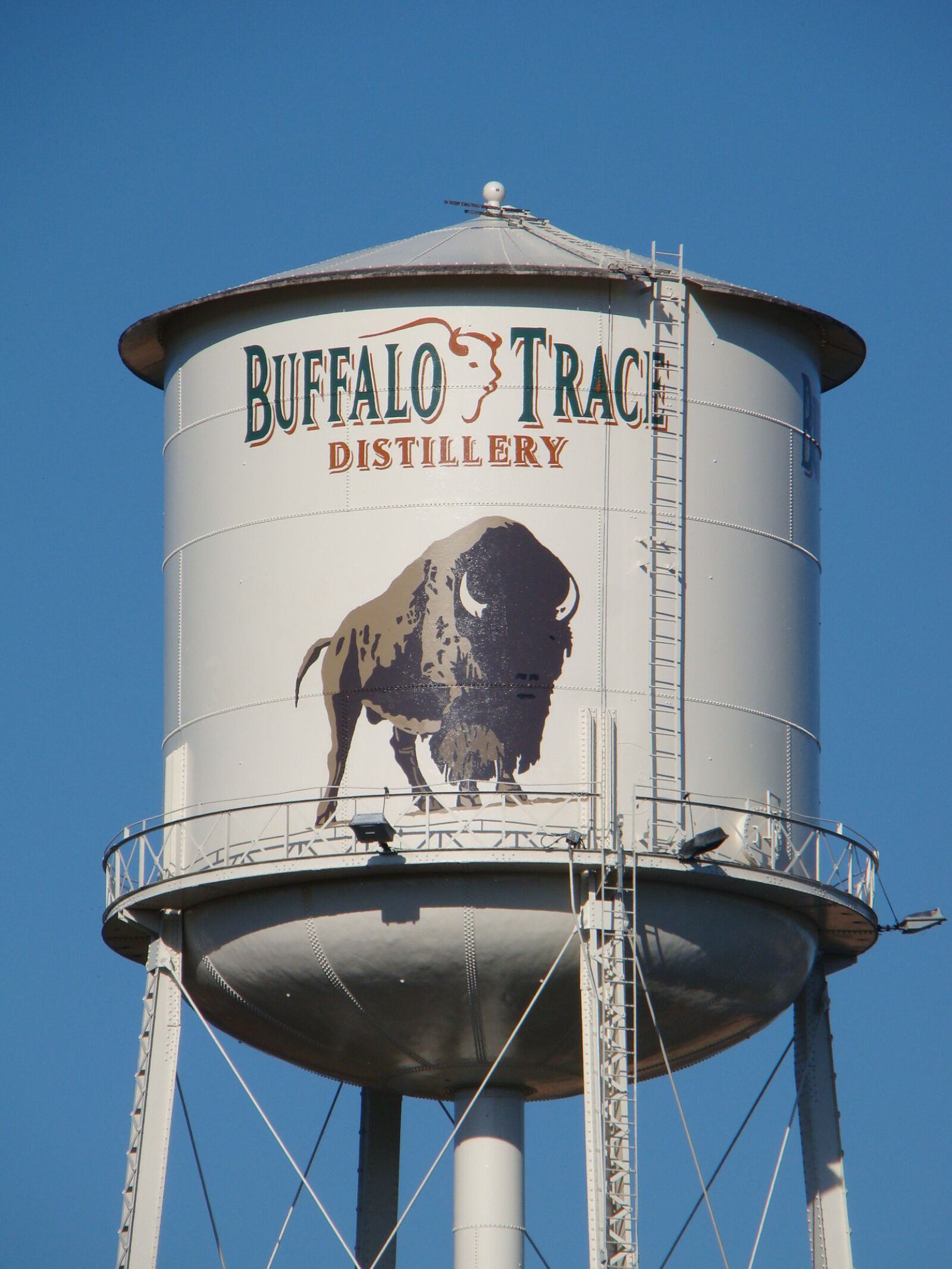 Sony Cyber-shot DSC-H50 sample photo. Buffalo, trace photography