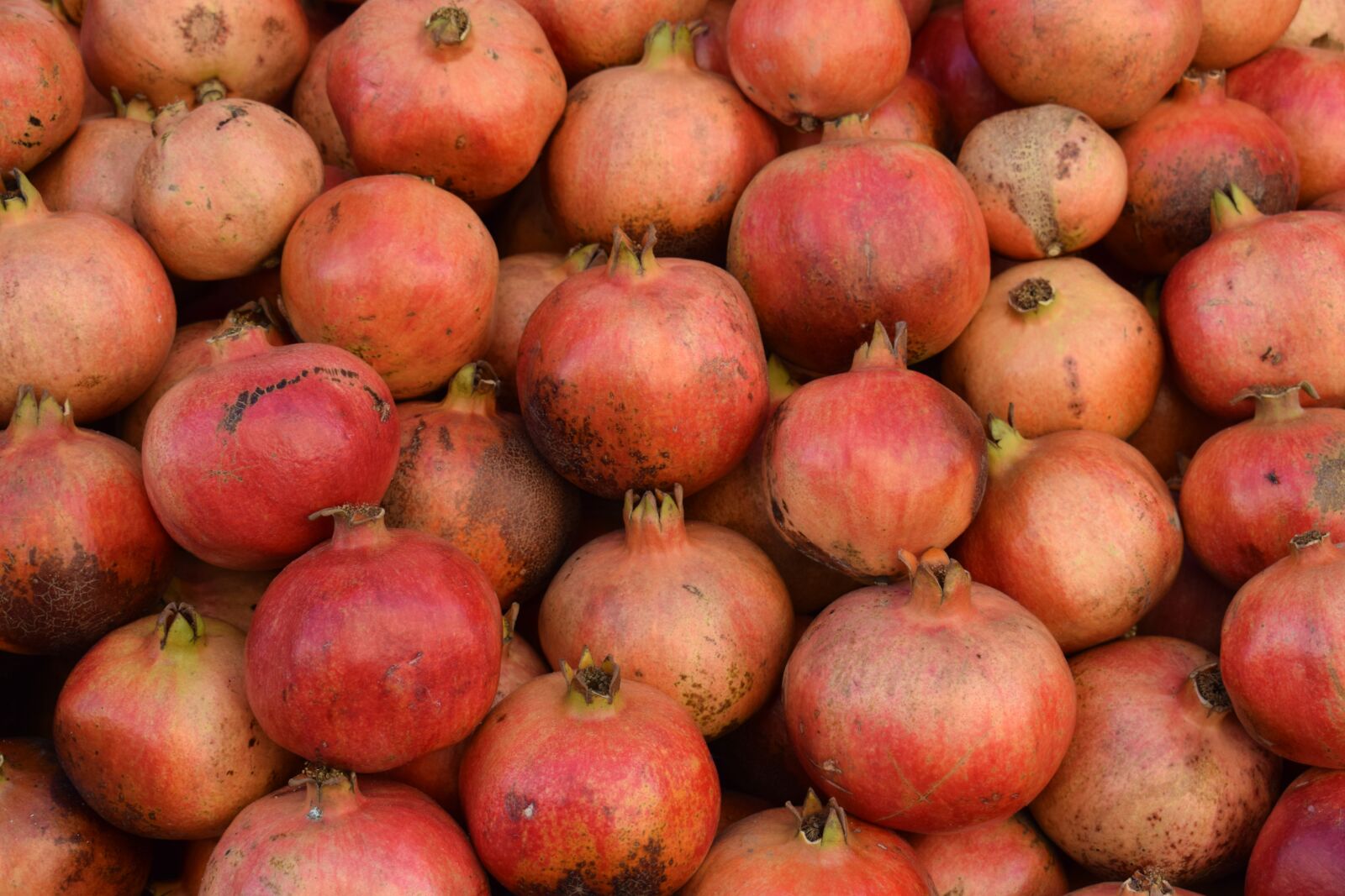 Nikon D5300 sample photo. Pomegranate, red, fruit photography