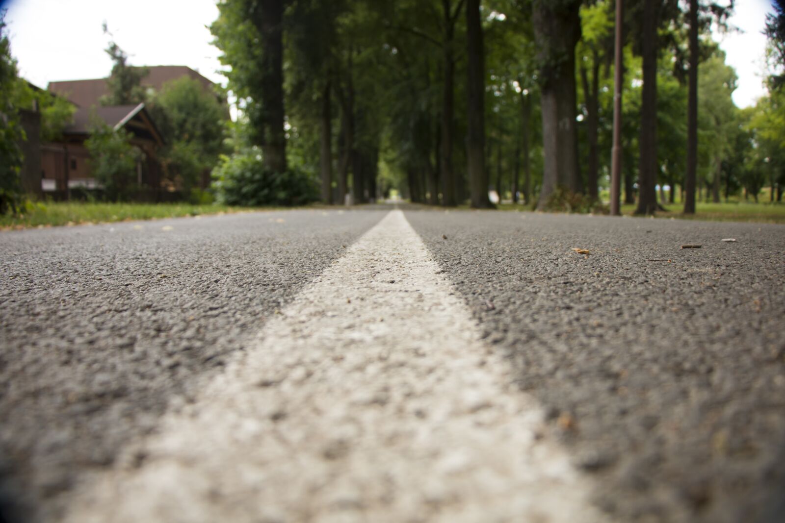 Canon EOS 70D sample photo. Walkway, path, park photography