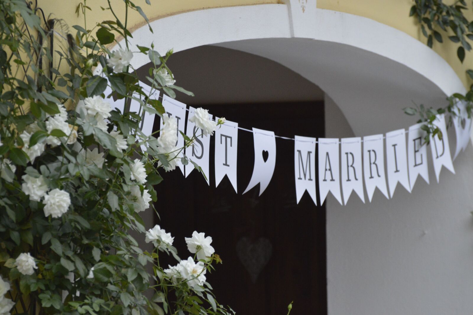 Nikon D3200 sample photo. Wedding, marry, wedding celebration photography