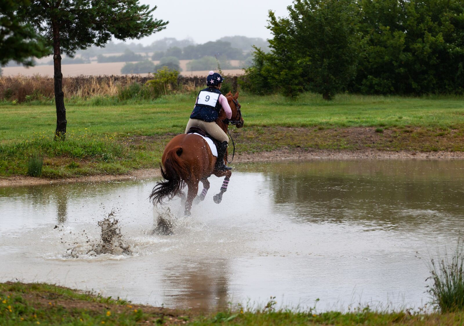 Canon EOS 5D Mark II + Canon EF 70-200mm F4L USM sample photo. Horse gallops through water photography