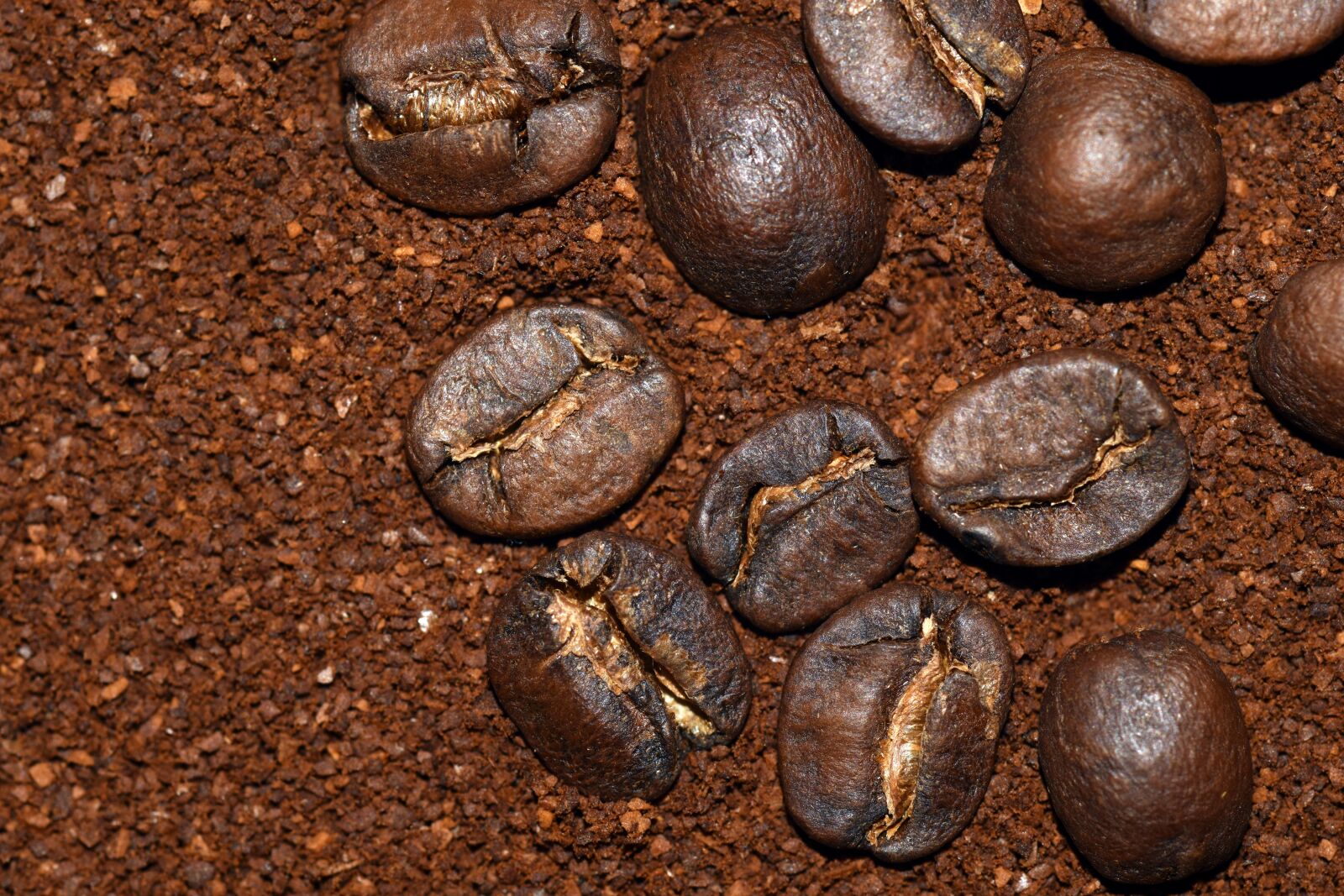 Nikon D3300 sample photo. Coffee, cafe, beans photography