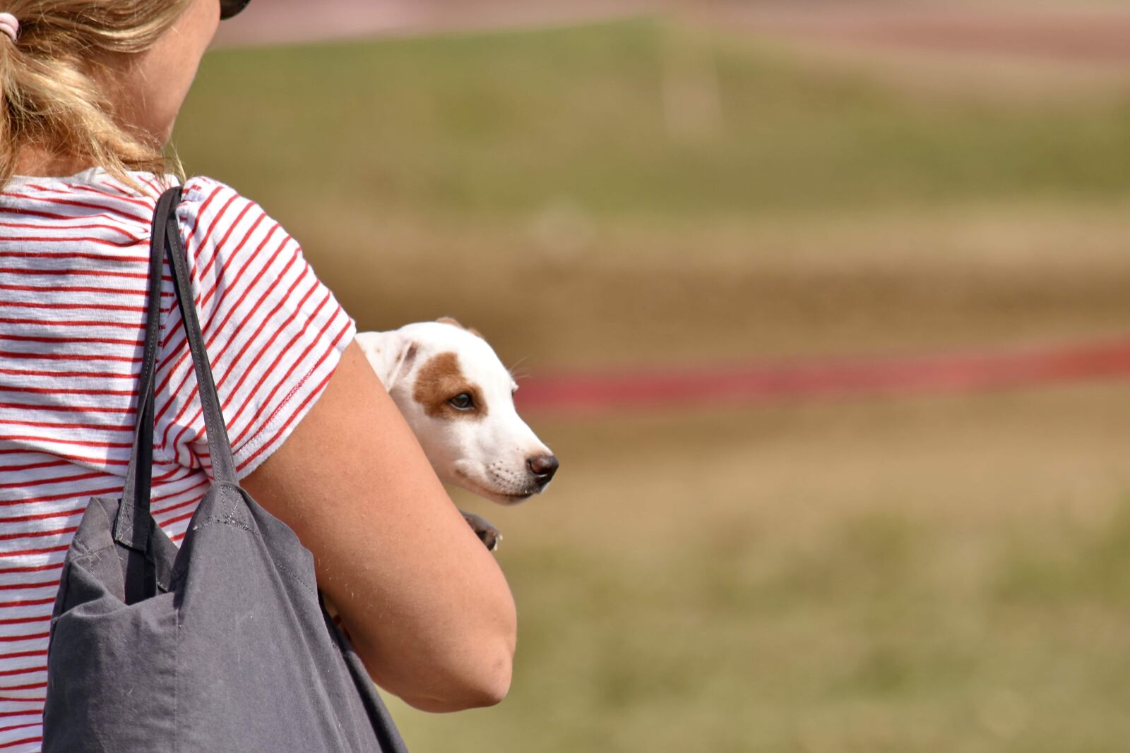 Nikon D5500 sample photo. Blonde hair, dog, puppy photography