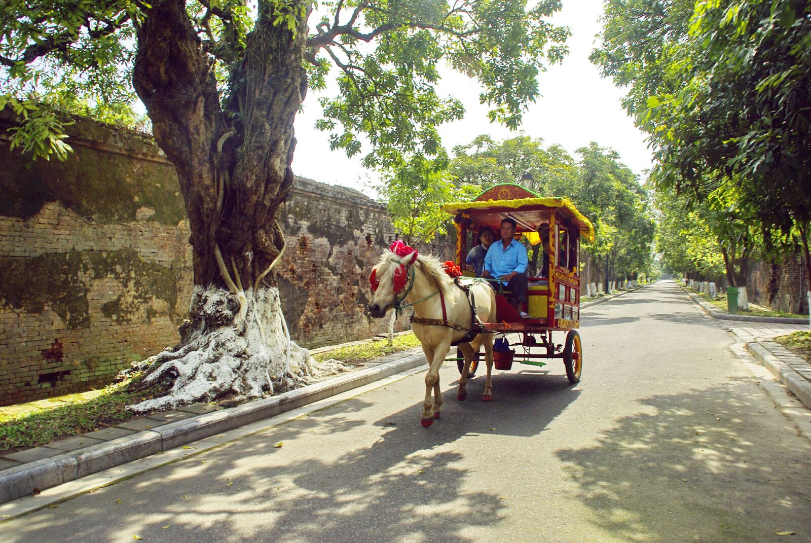Pentax K200D sample photo. Viet nam, booed, carriage photography