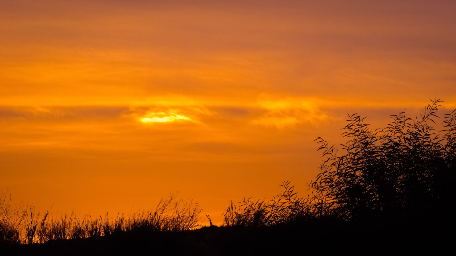 Canon PowerShot SX400 IS sample photo. Twilight, sunset, dusk photography