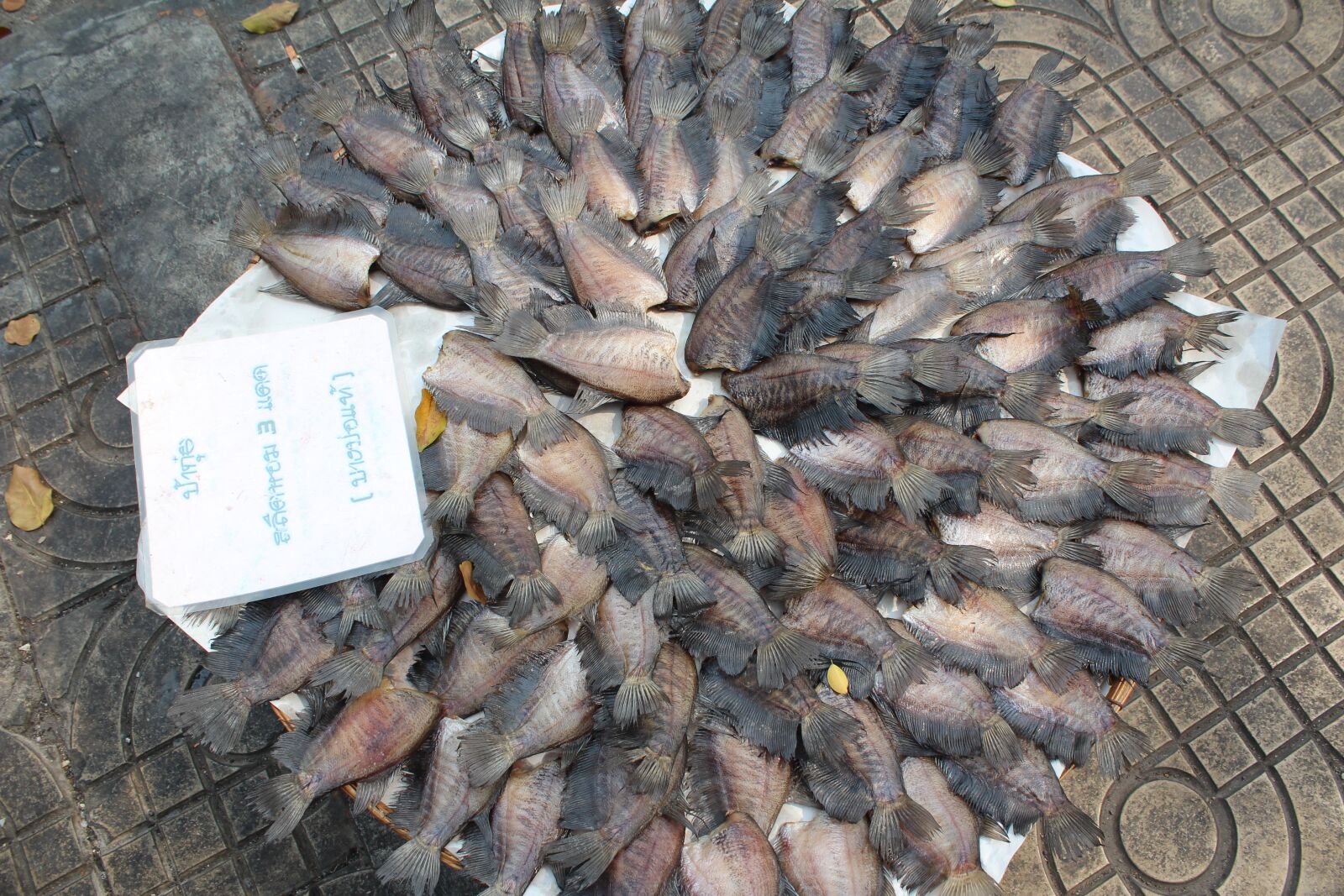 Canon EOS 600D (Rebel EOS T3i / EOS Kiss X5) sample photo. Fish, dried, port photography