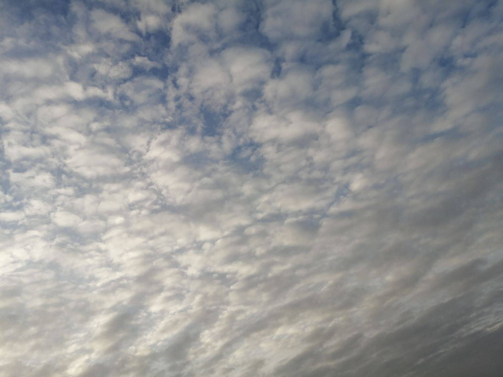 HUAWEI P30 LITE sample photo. Sky, clouds, blue photography