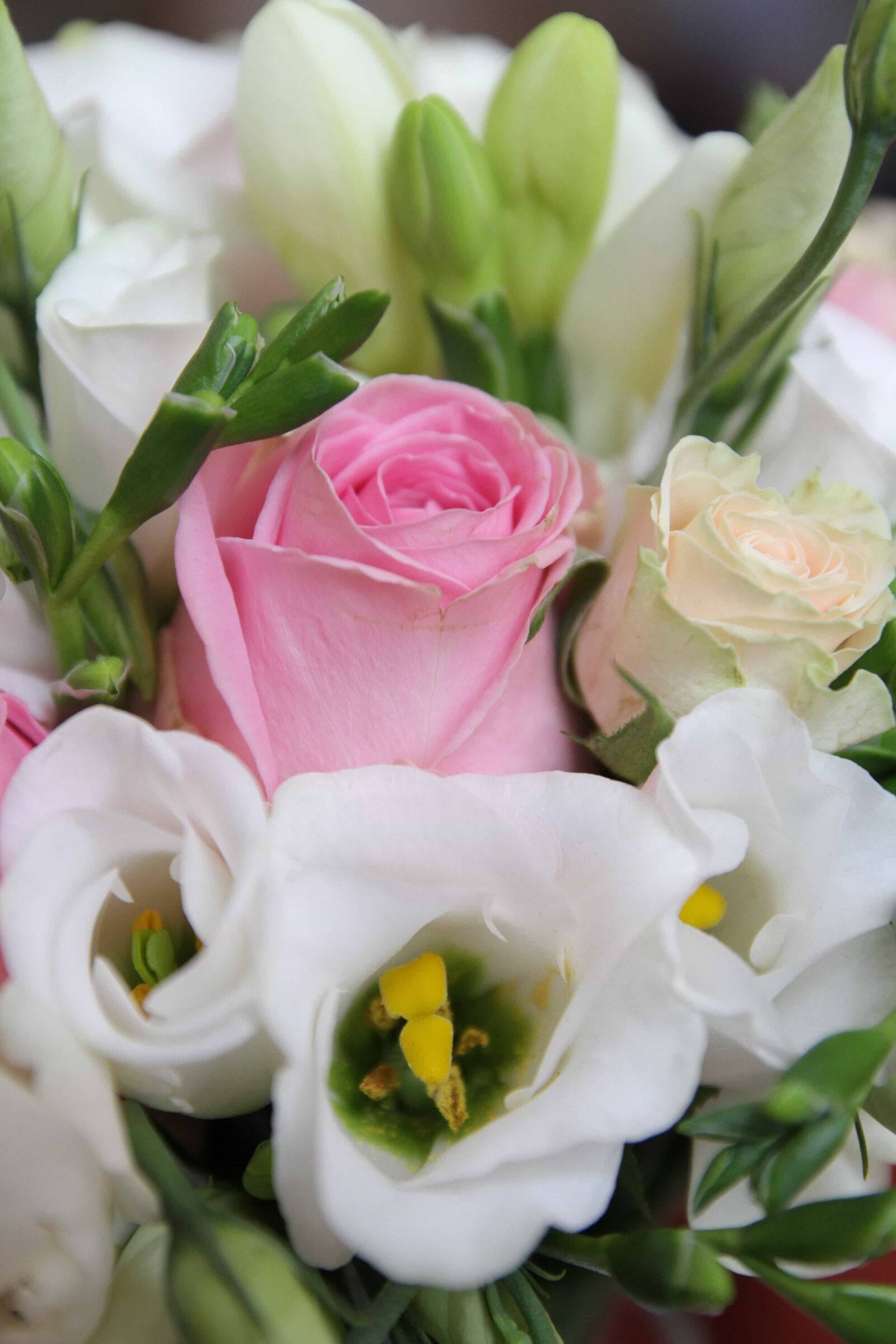 Canon EOS 7D sample photo. Flower, bouquet, decoration, pink photography