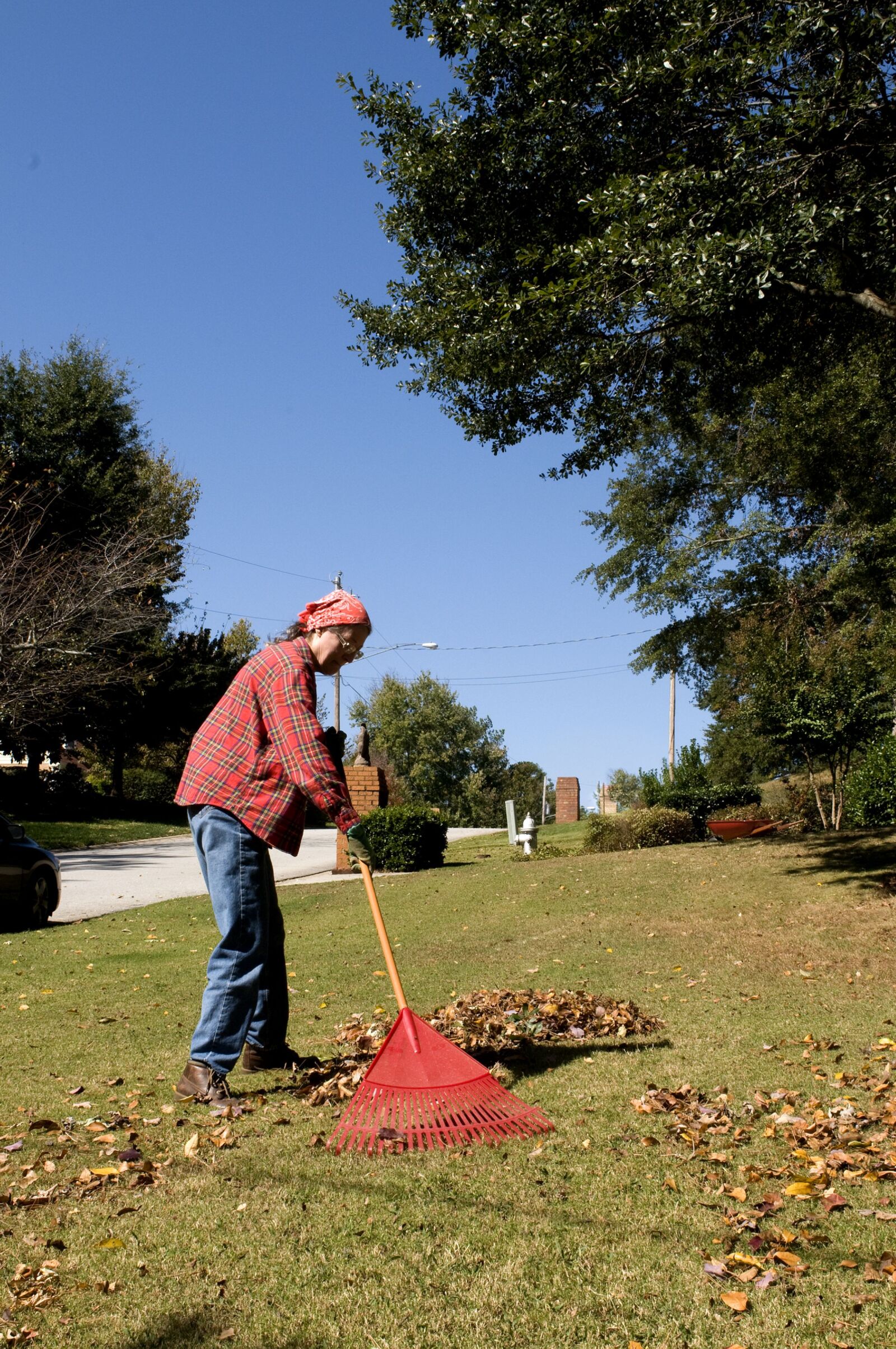 Nikon D300 sample photo. Gathering, leaves, lawn, plastic photography