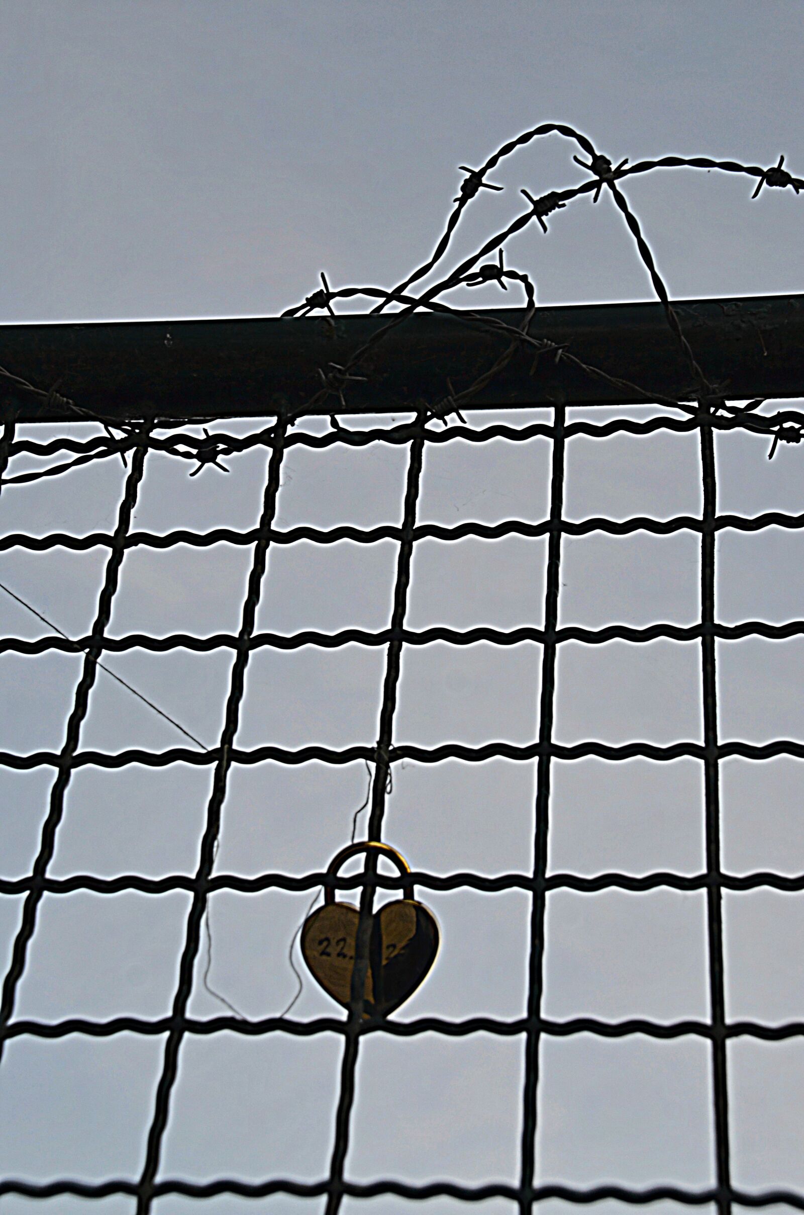 Nikon D5100 sample photo. Heart, art, love photography