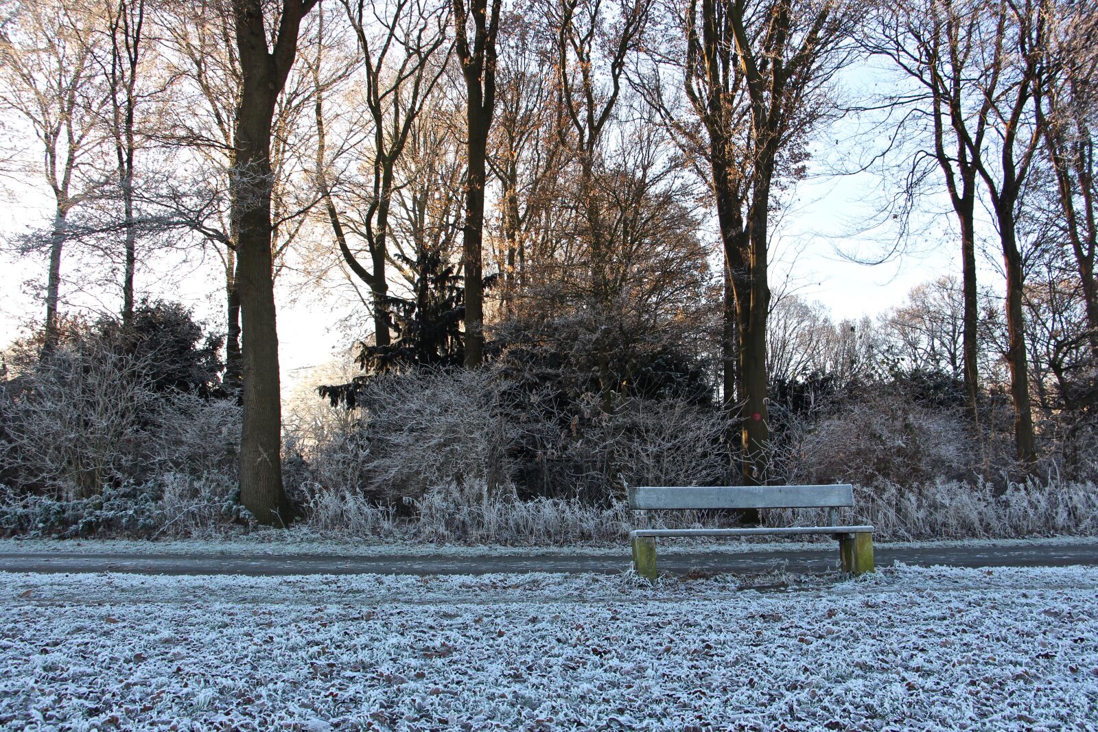 Canon EOS 700D (EOS Rebel T5i / EOS Kiss X7i) sample photo. Winter, cold, nature photography