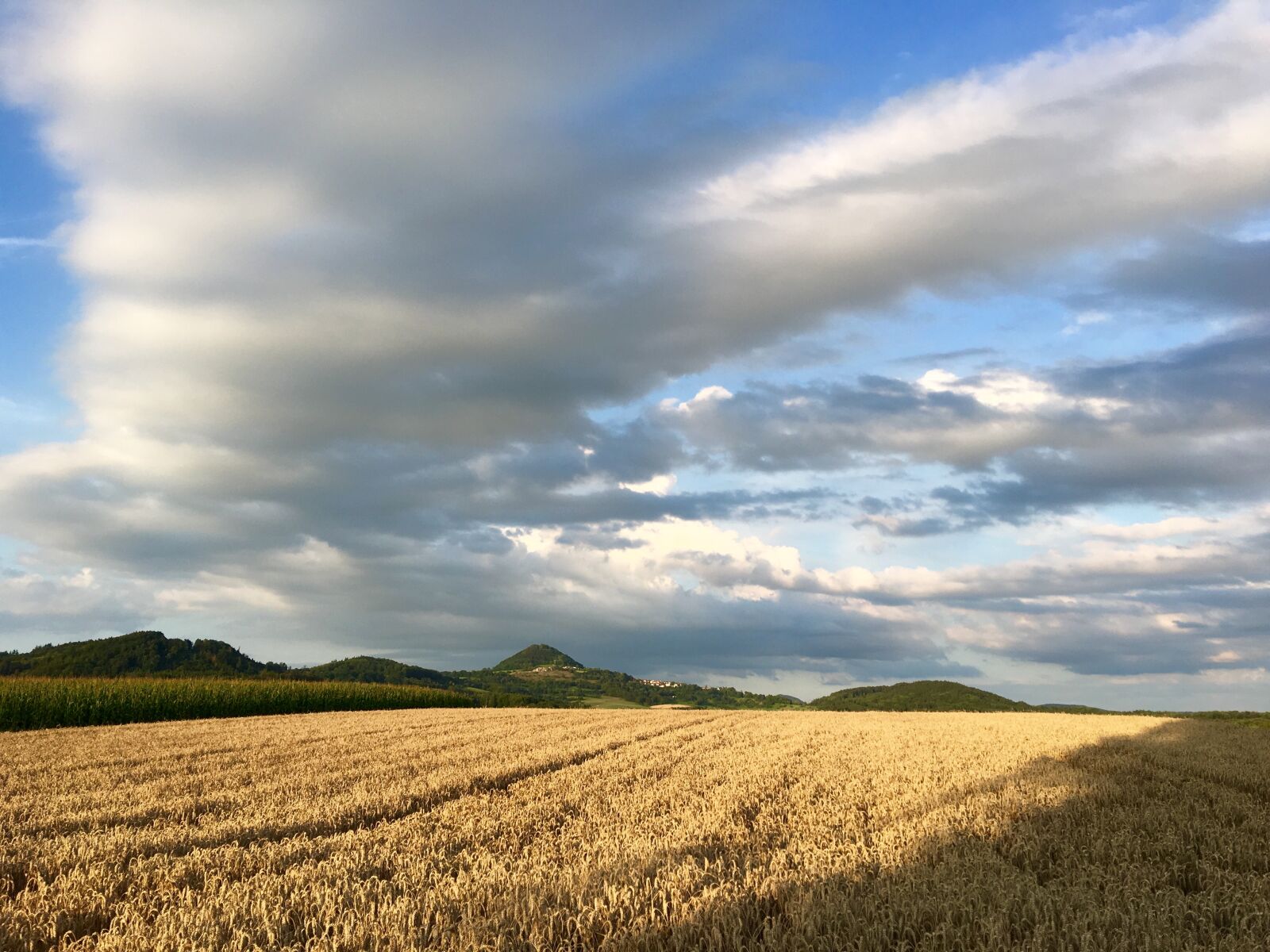 Apple iPhone 6s Plus sample photo. Hohenstaufen, oesel, barley field photography