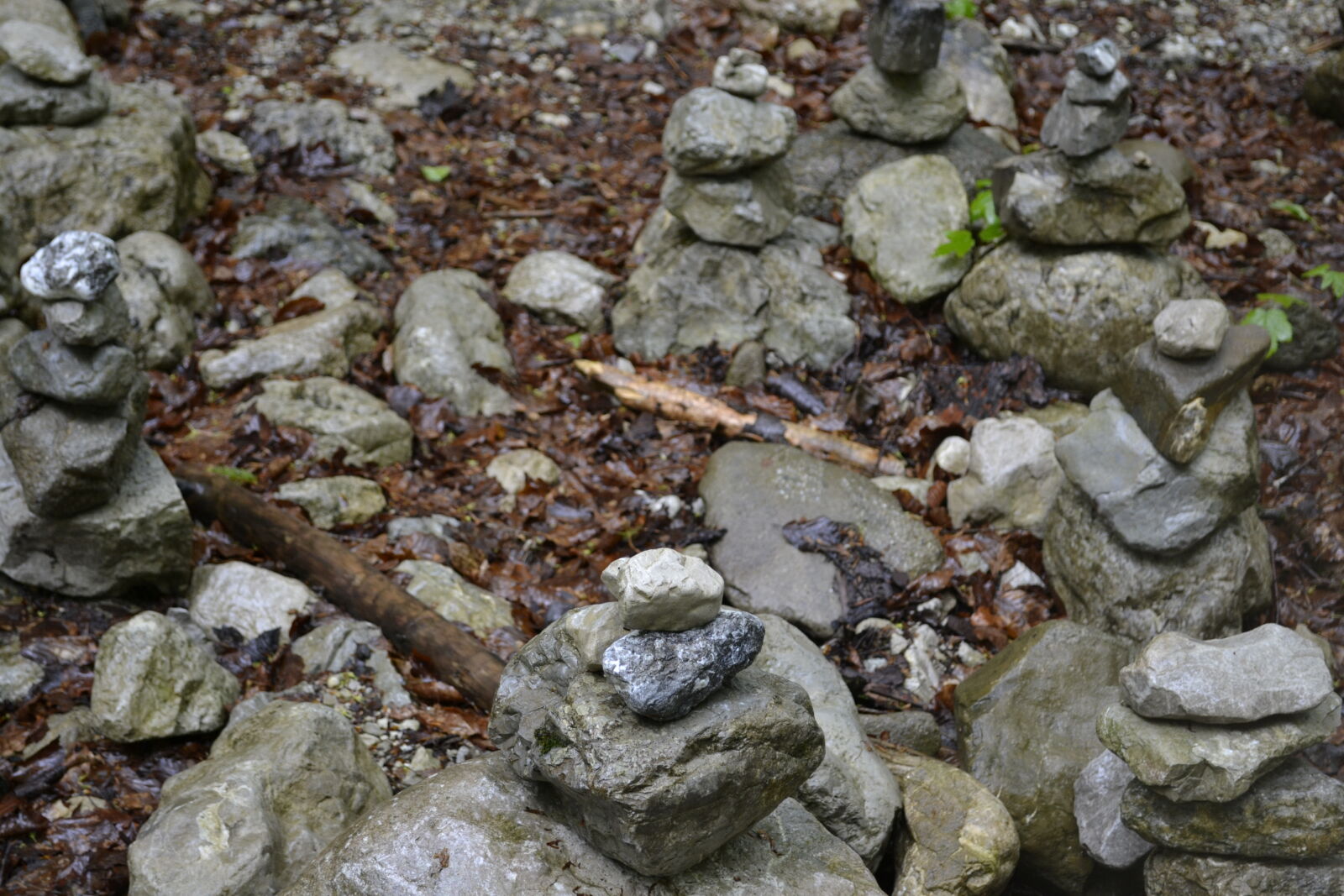 Nikon D3100 sample photo. Stones photography
