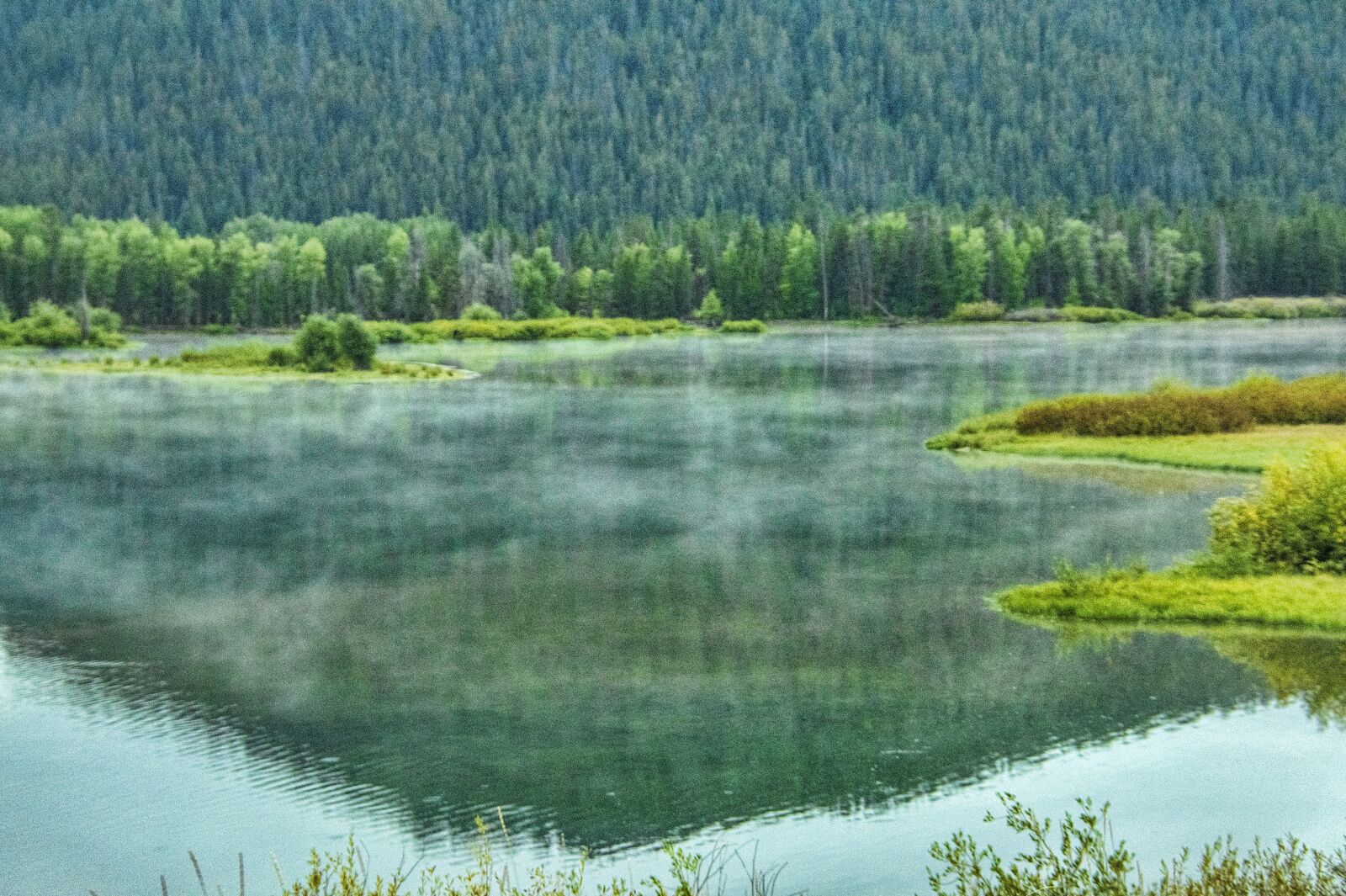 Nikon D850 sample photo. Yellowstone, geyser, wyoming photography