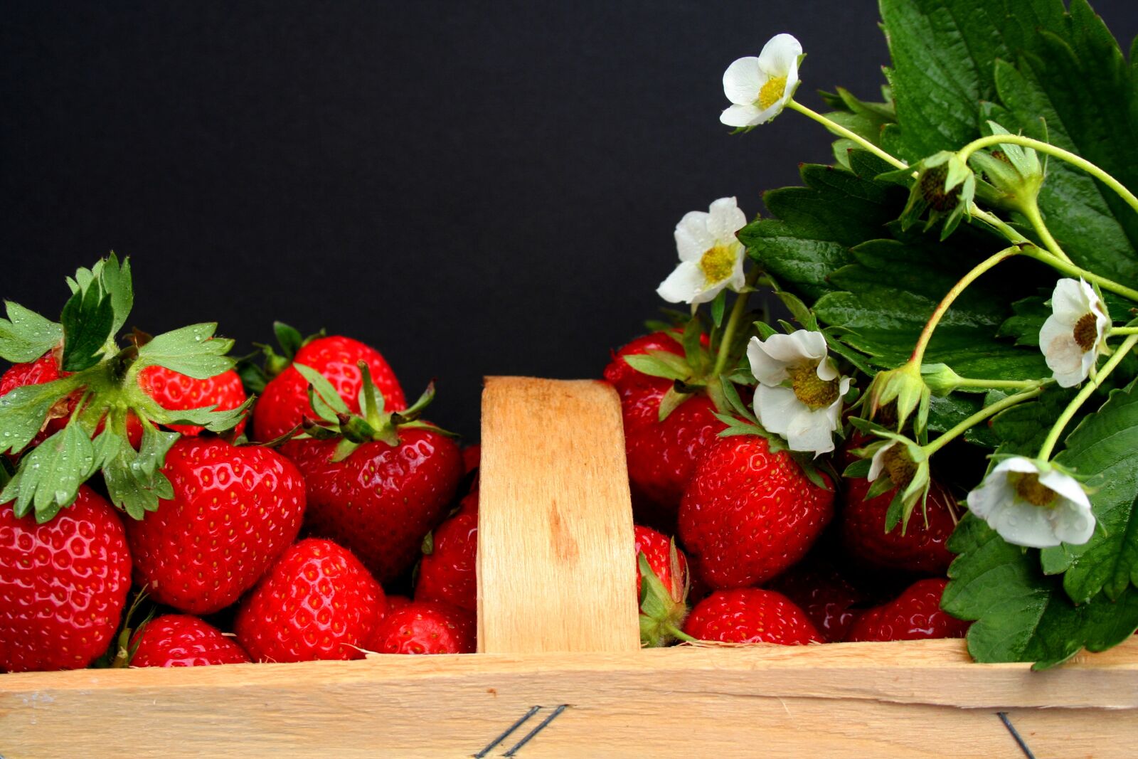 Canon EOS 350D (EOS Digital Rebel XT / EOS Kiss Digital N) sample photo. Strawberries, harvest time, field photography