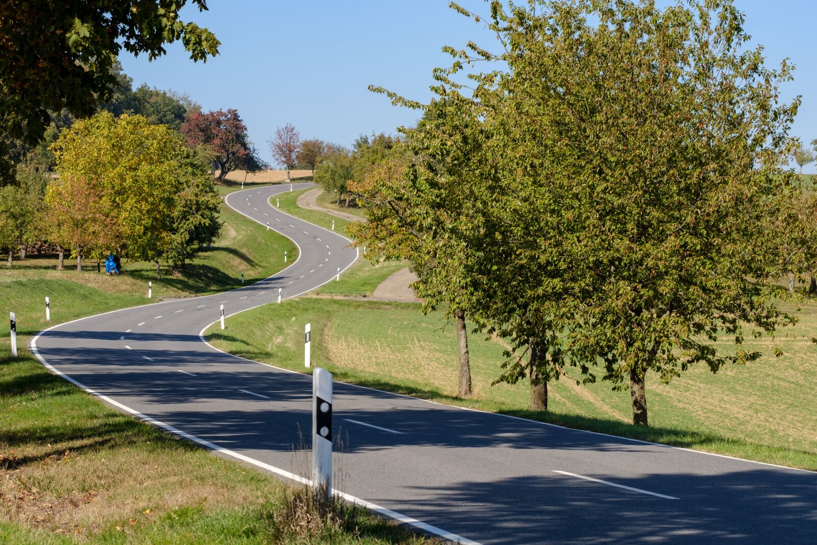 Fujifilm X-T2 + Fujifilm XF 80mm F2.8 R LM OIS WR Macro sample photo. Away, road, curves photography