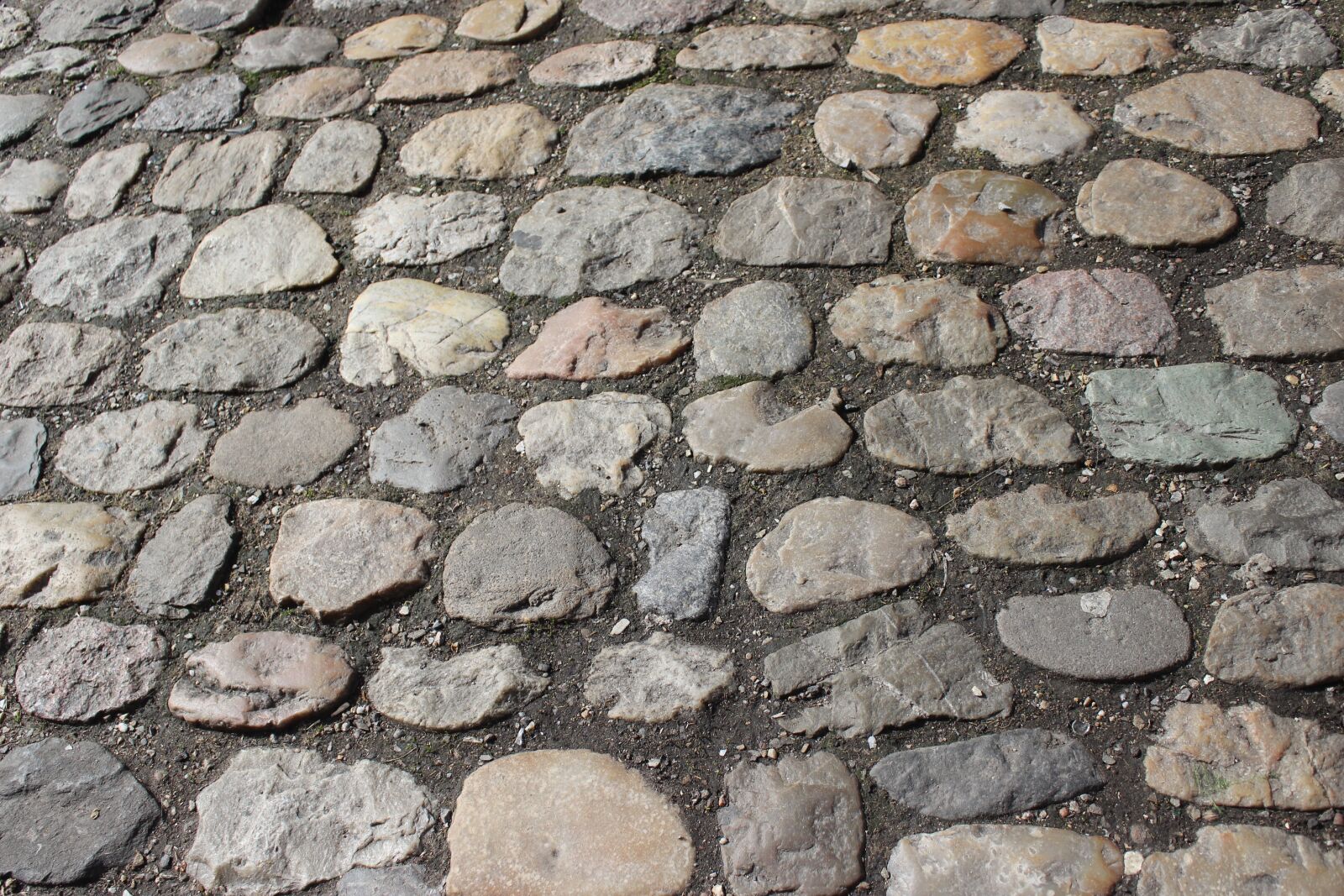 Canon EOS 600D (Rebel EOS T3i / EOS Kiss X5) sample photo. Stone, rau, texture photography