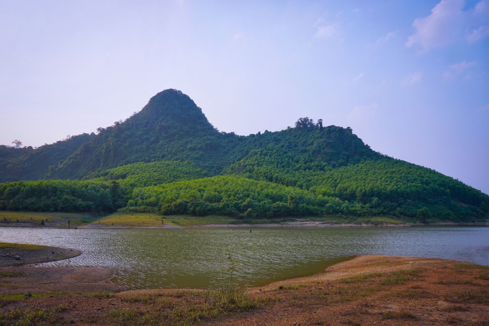 Sony a6000 sample photo. Nature, landscape, forest photography