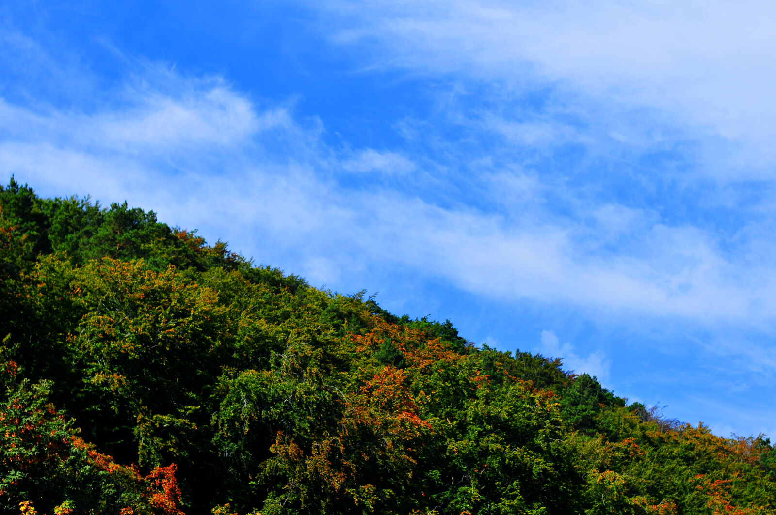 Nikon AF-S Nikkor 50mm F1.4G sample photo. Clouds, forest, green, sky photography