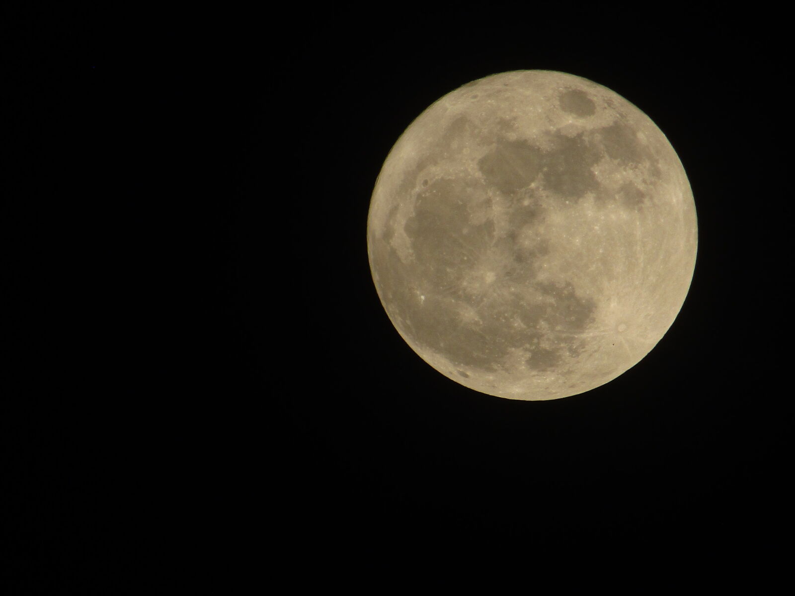 Canon PowerShot SX410 IS sample photo