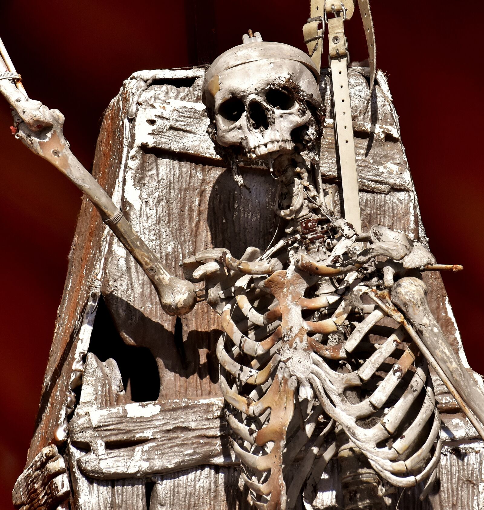 Nikon D7200 sample photo. Skeleton, ghost train, fairground photography