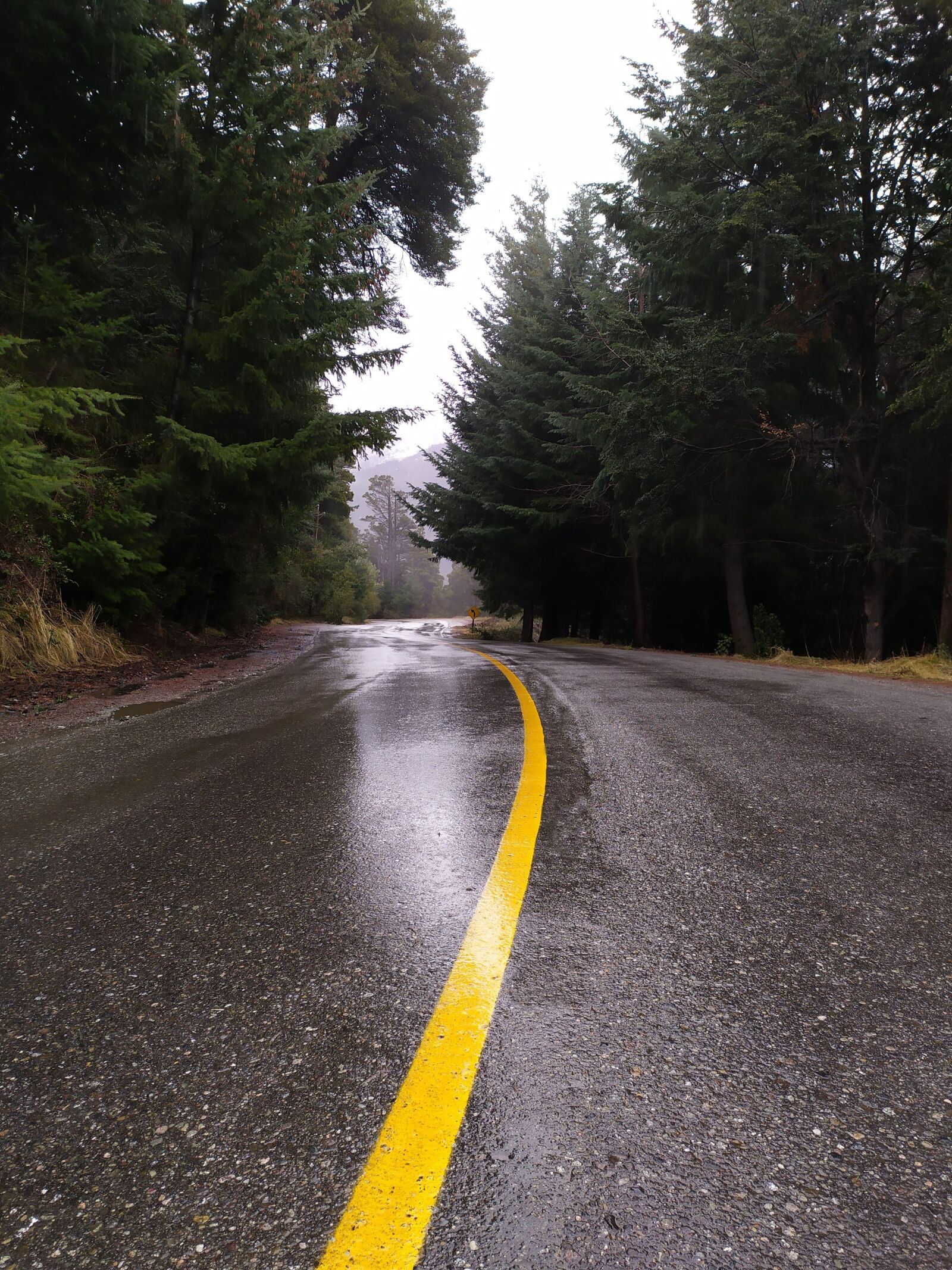 Xiaomi Redmi Note 7 sample photo. Patagonia, road, mountain photography