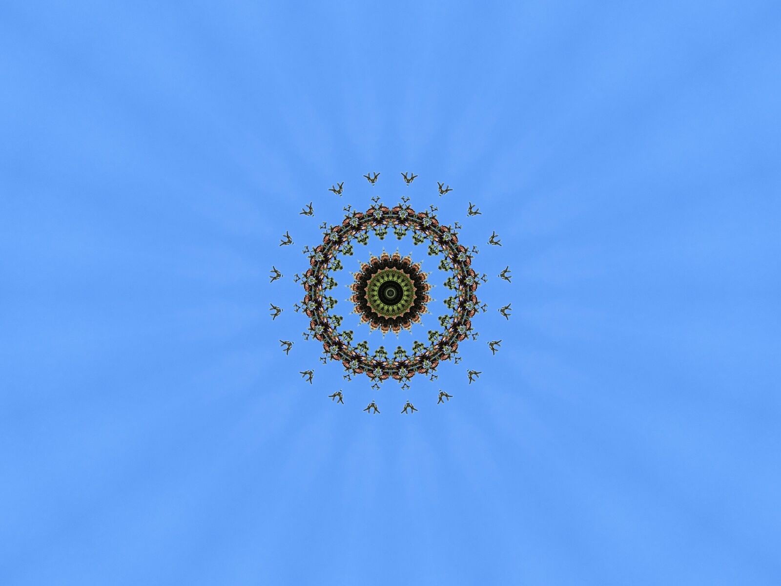 Sony DSC-HX200V sample photo. Mandala, graphics, decoration photography