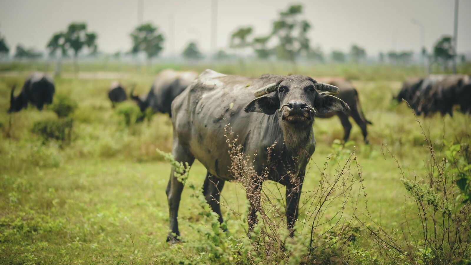 Nikon D700 sample photo. Landscape, travel, nature photography