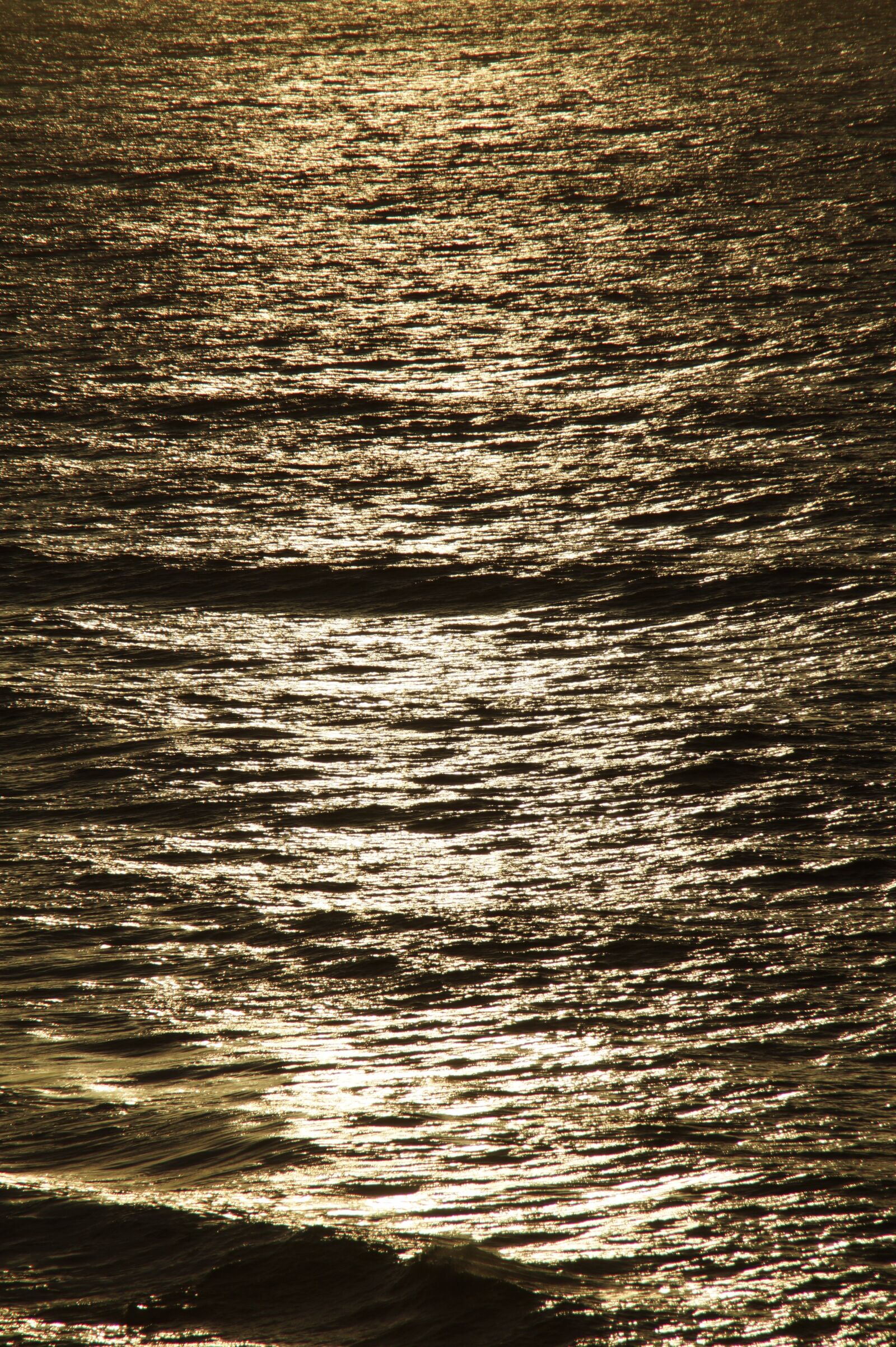 Sony SLT-A58 sample photo. Structure, texture, background photography