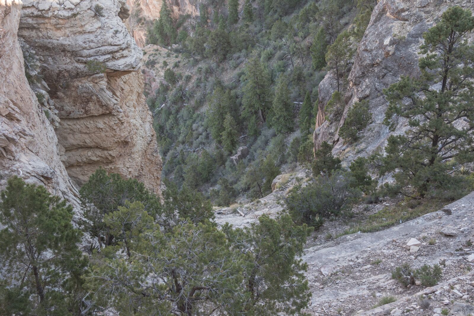 Canon EOS 7D Mark II sample photo. View, grand canyon, usa photography