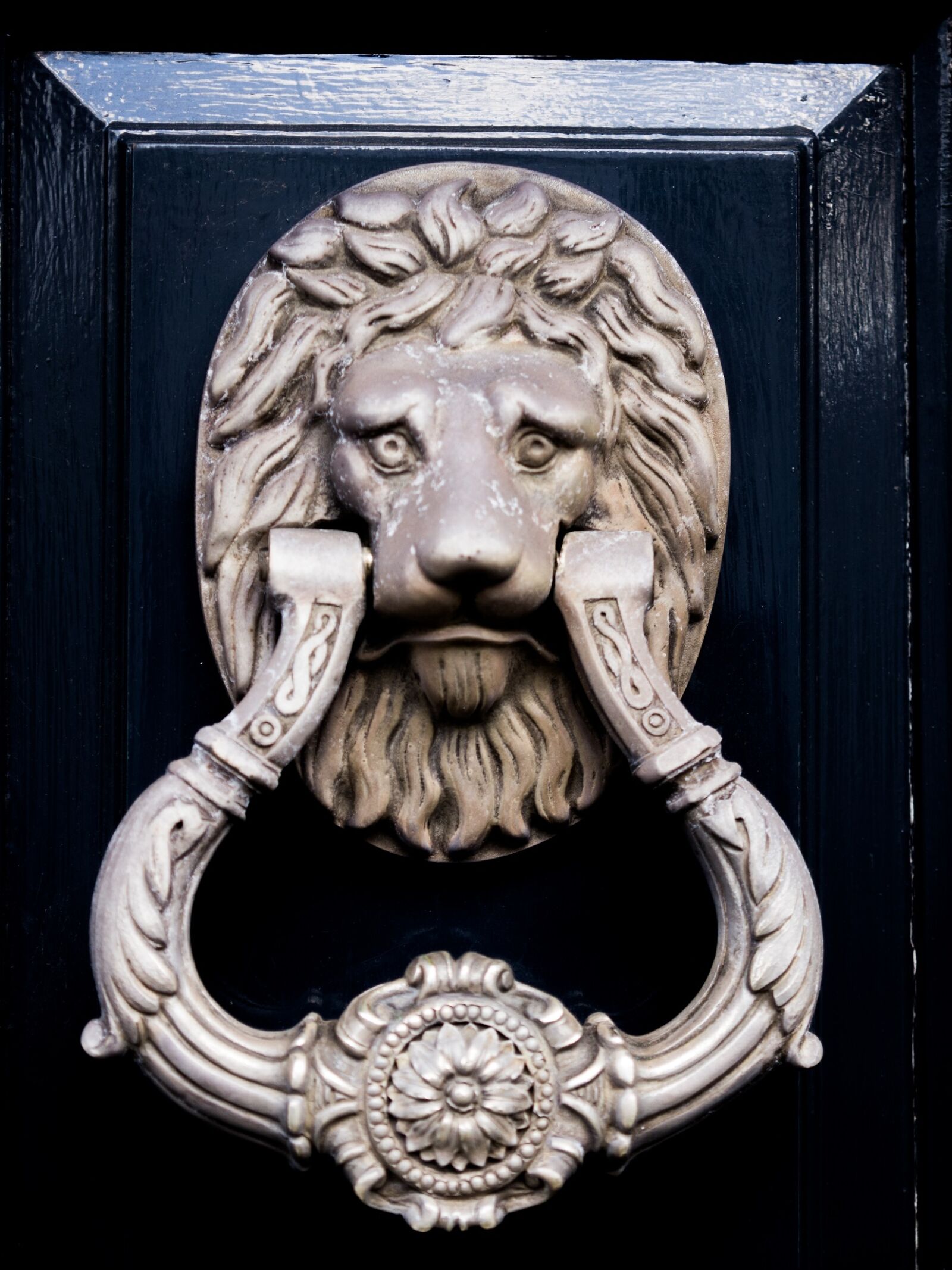 Olympus E-5 sample photo. Door knocker, lion, metal photography