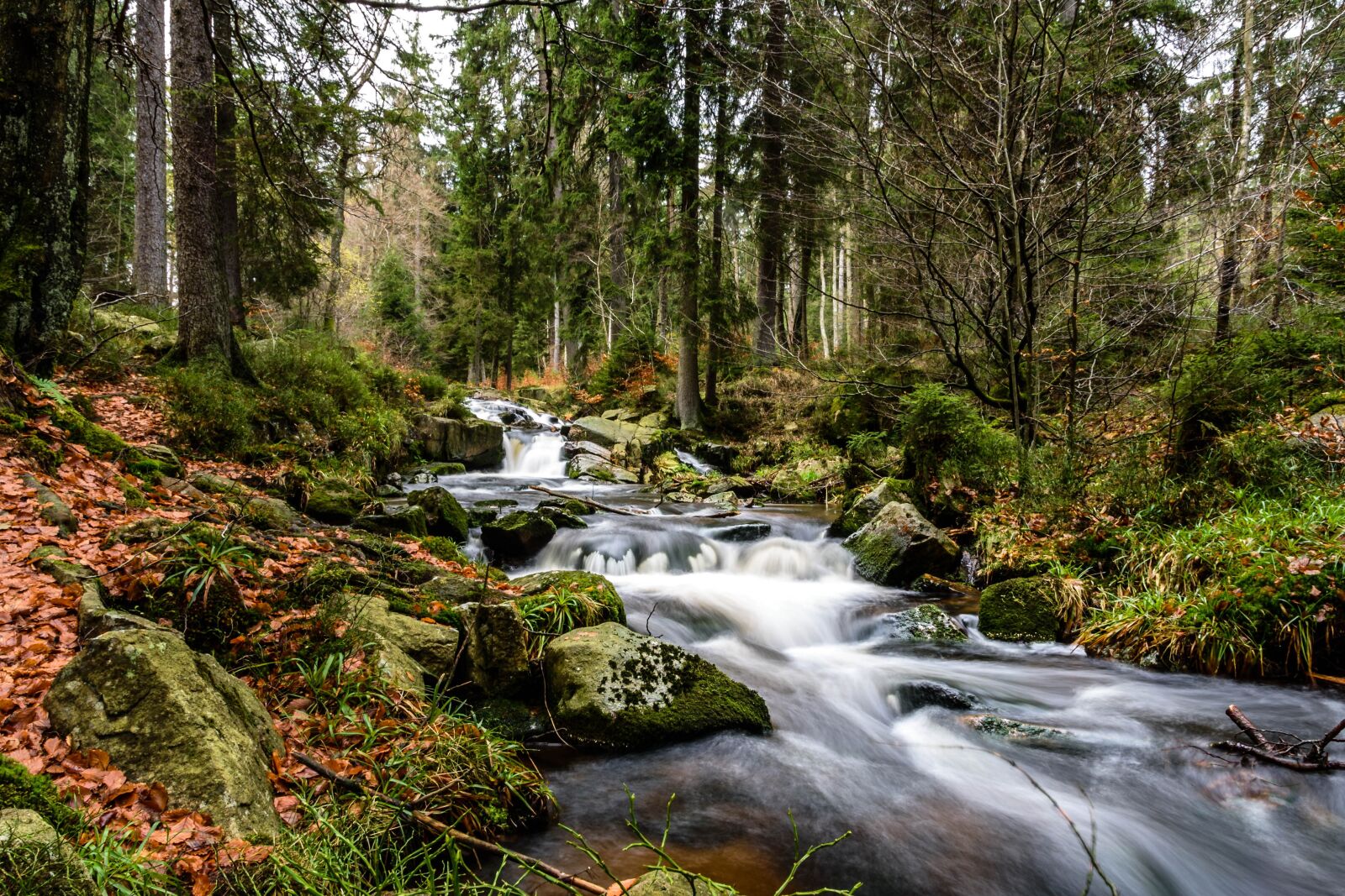 Nikon D750 sample photo. Autumn, waterfall, resin photography