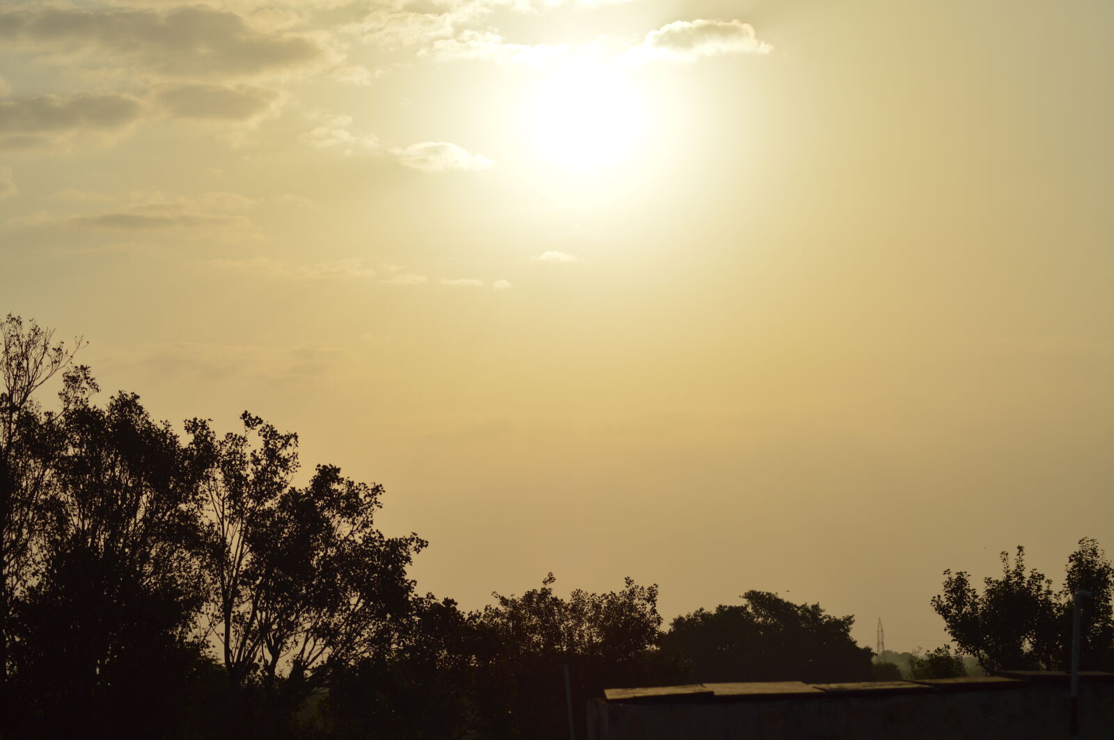 Nikon D3200 sample photo. Evening, sun, golden, sun photography