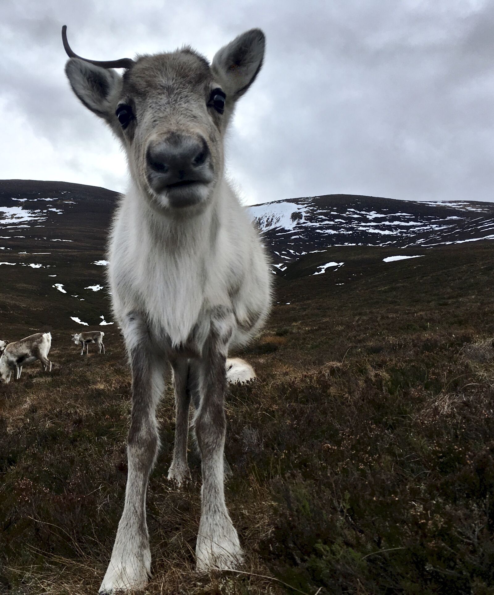 iPhone SE back camera 4.15mm f/2.2 sample photo. Scotland, hiking, outdoors photography