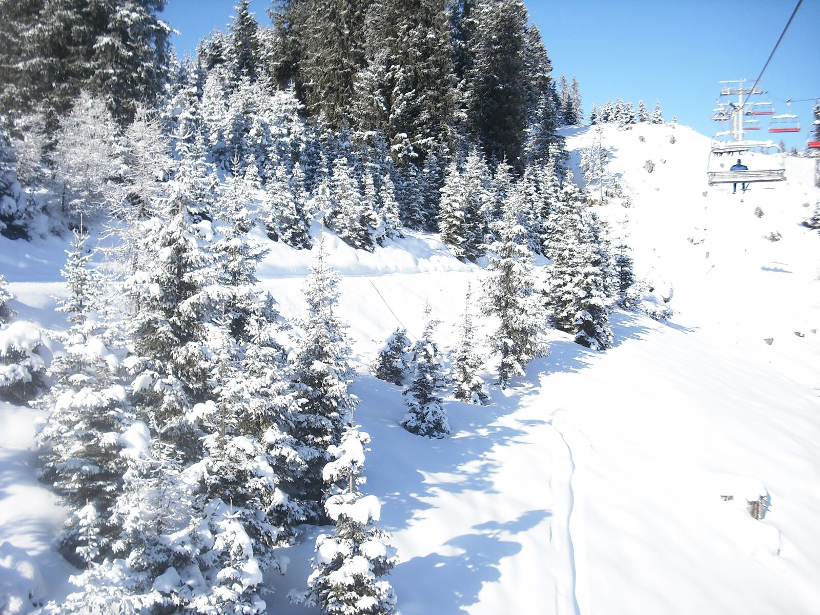 CASIO EX-Z9 sample photo. Snow, winter, trees photography