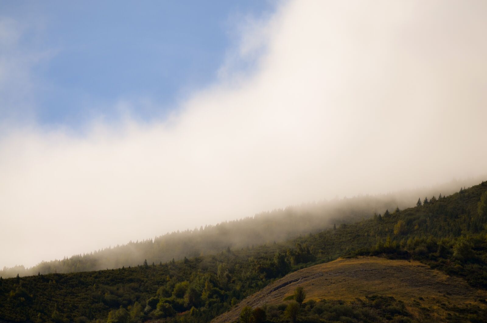Nikon D5100 sample photo. Mist, mountains, landscape photography