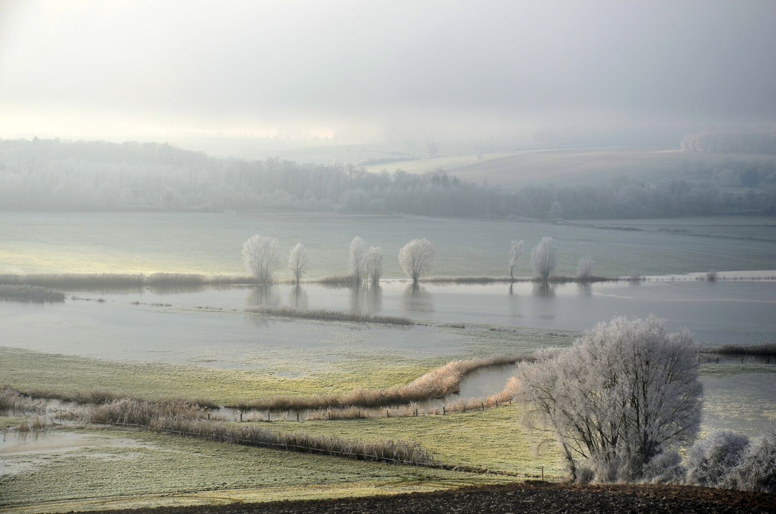 Nikon D5100 sample photo. Frost, winter, cold photography
