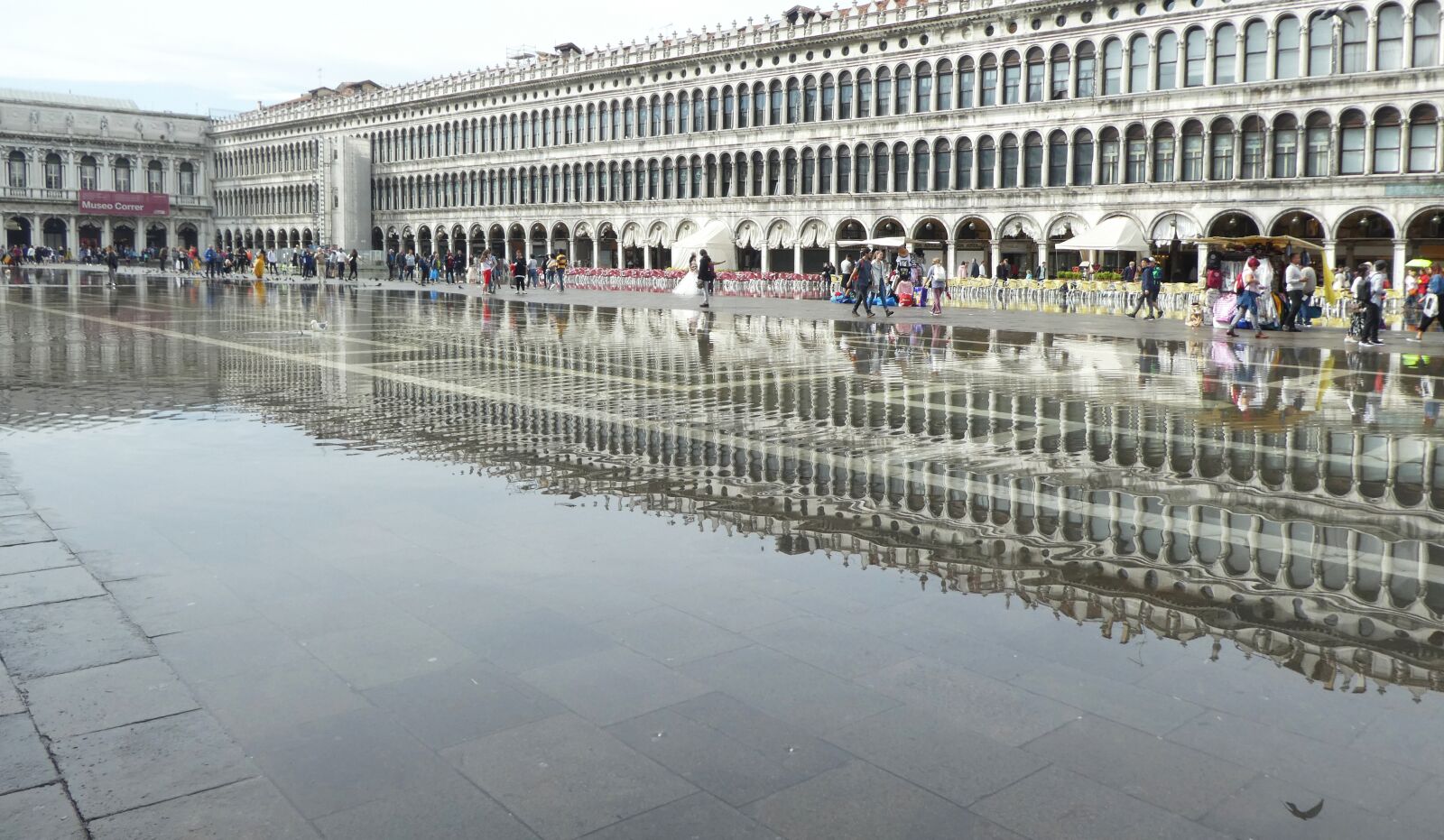 Panasonic DMC-TZ81 sample photo. Venice, piazza san marco photography