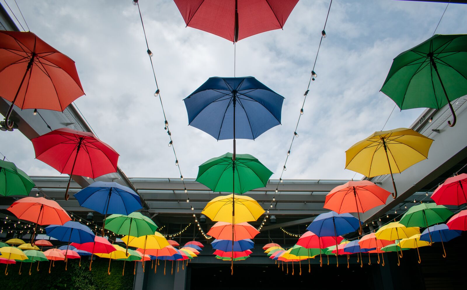 Nikon D3500 sample photo. Colors, blue, yellow photography