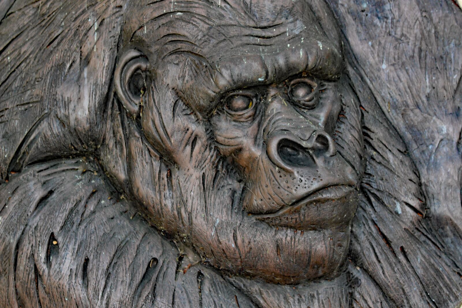 Canon EOS 100D (EOS Rebel SL1 / EOS Kiss X7) sample photo. Gorilla, monkey, carving photography