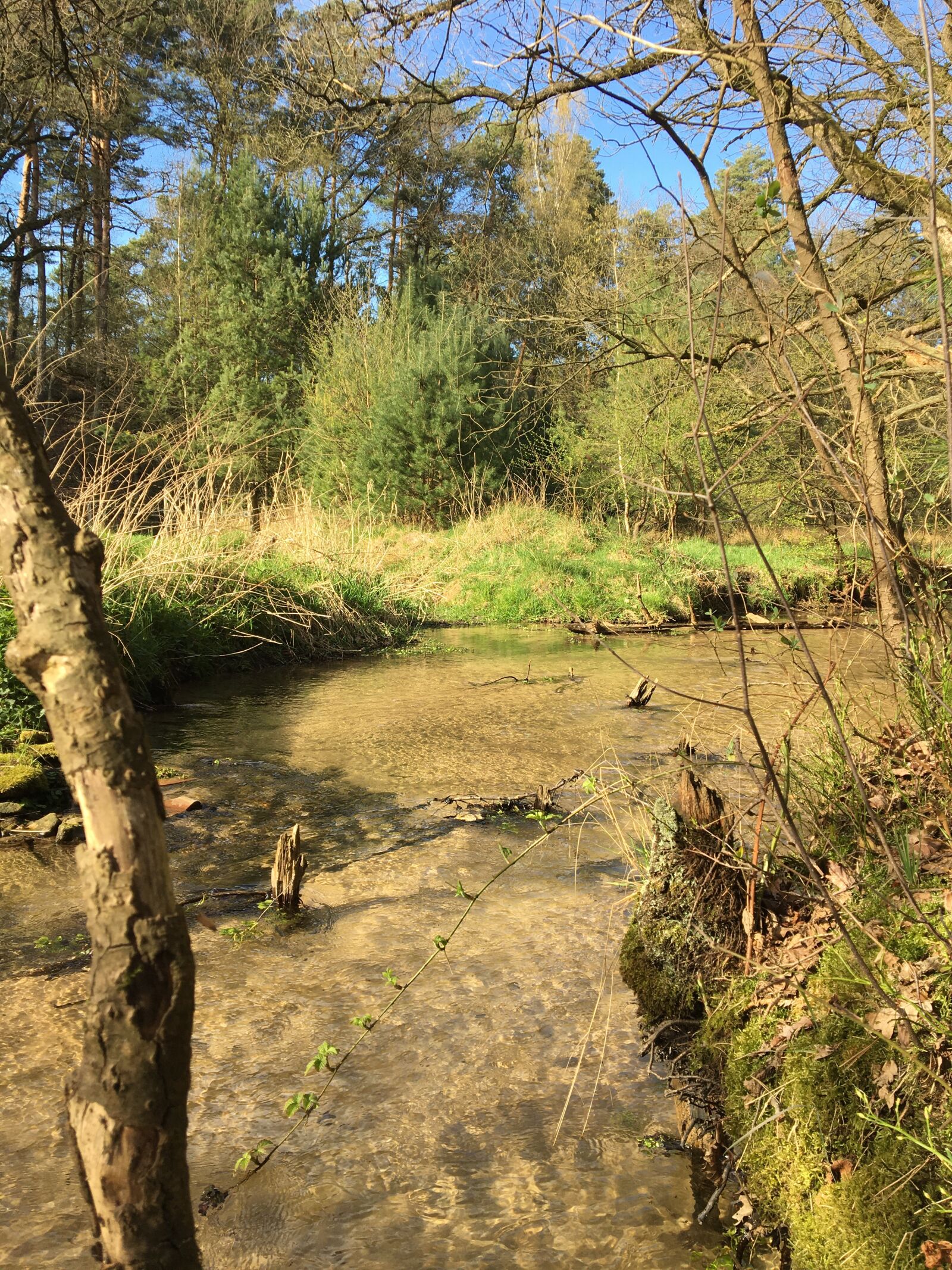 Apple iPhone 6s sample photo. Bach, creek, river photography