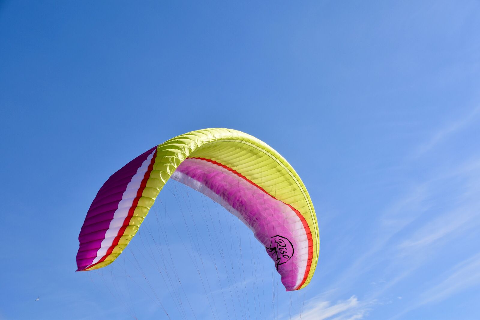 Nikon D5600 sample photo. Paragliding, paraglider wing, paraglider photography